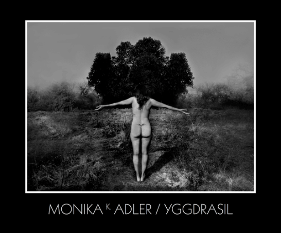 Monika K. Adler Yggdrasil, 2015, Publication, Book, exhibition catalogue